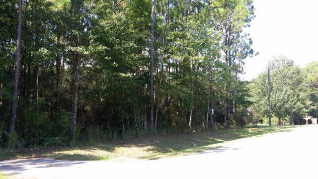 0 Riverview Road - Photo 1