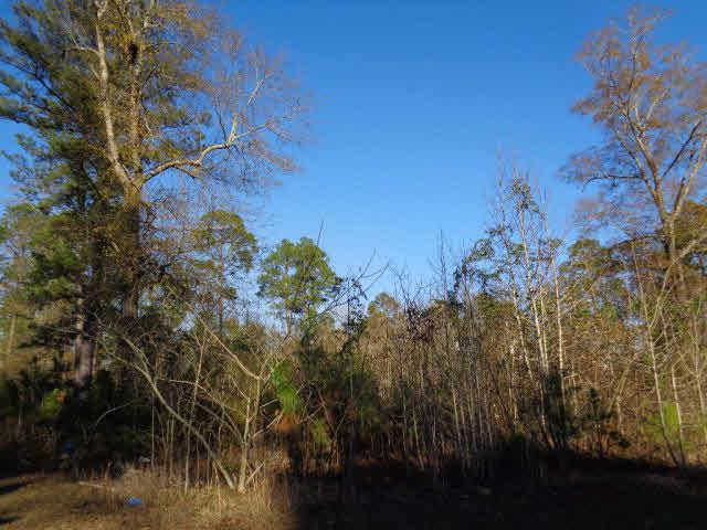 0 Tesone Blvd - Photo 1