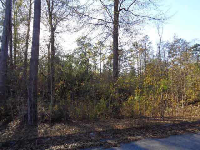 0 Tesone Blvd - Photo 1