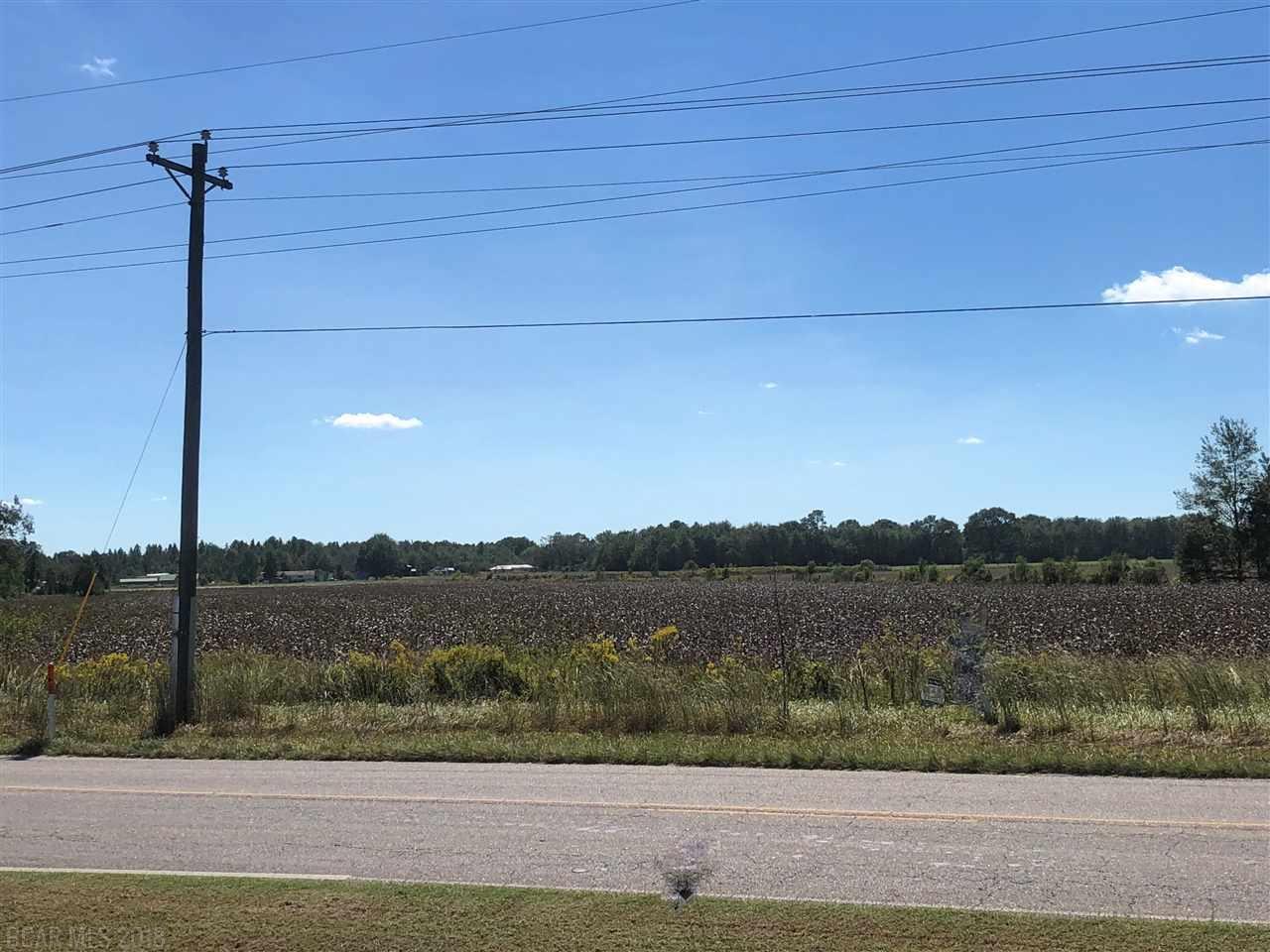 1 Jack Springs Rd - Photo 1