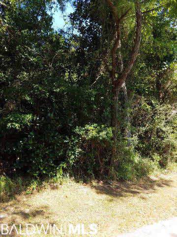 0 Marguerite Dr - Photo 1