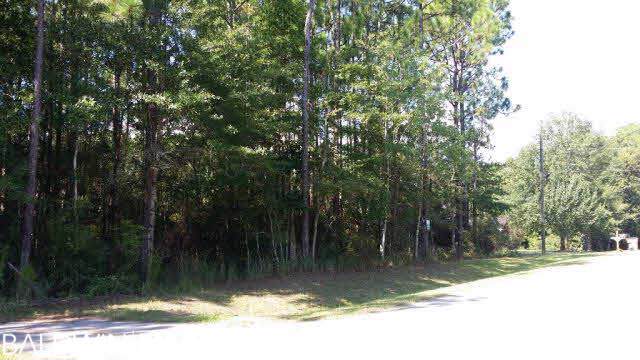 0 Riverview Road - Photo 1