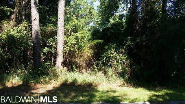 0 Marguerite Dr - Photo 1