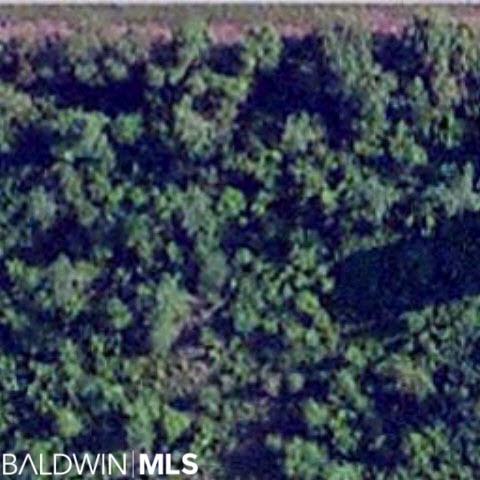 0 Dogwood Rd - Photo 1