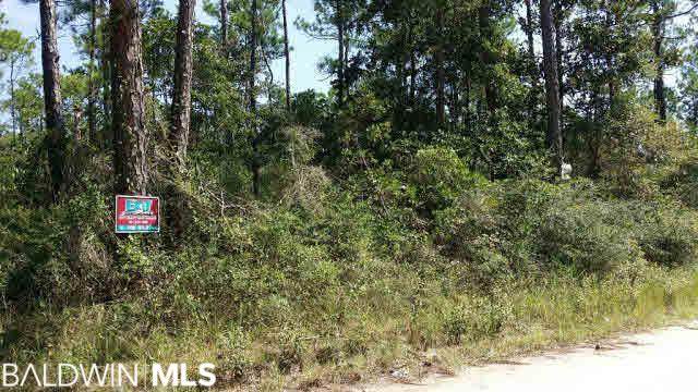 0 Pine Top Rd - Photo 1