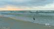 1003 West Beach Boulevard - Photo 41