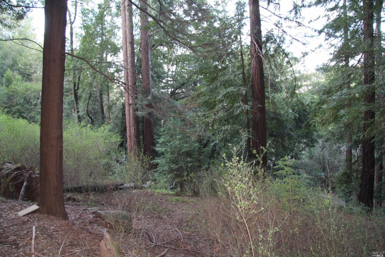 0 Murray Avenue - Photo 1