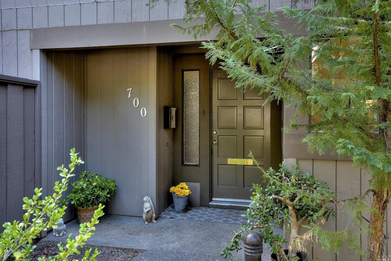 700 Indian Way - Photo 1