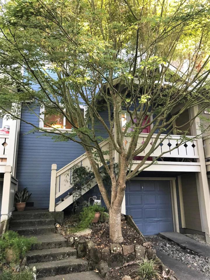 14 Locust Court - Photo 1