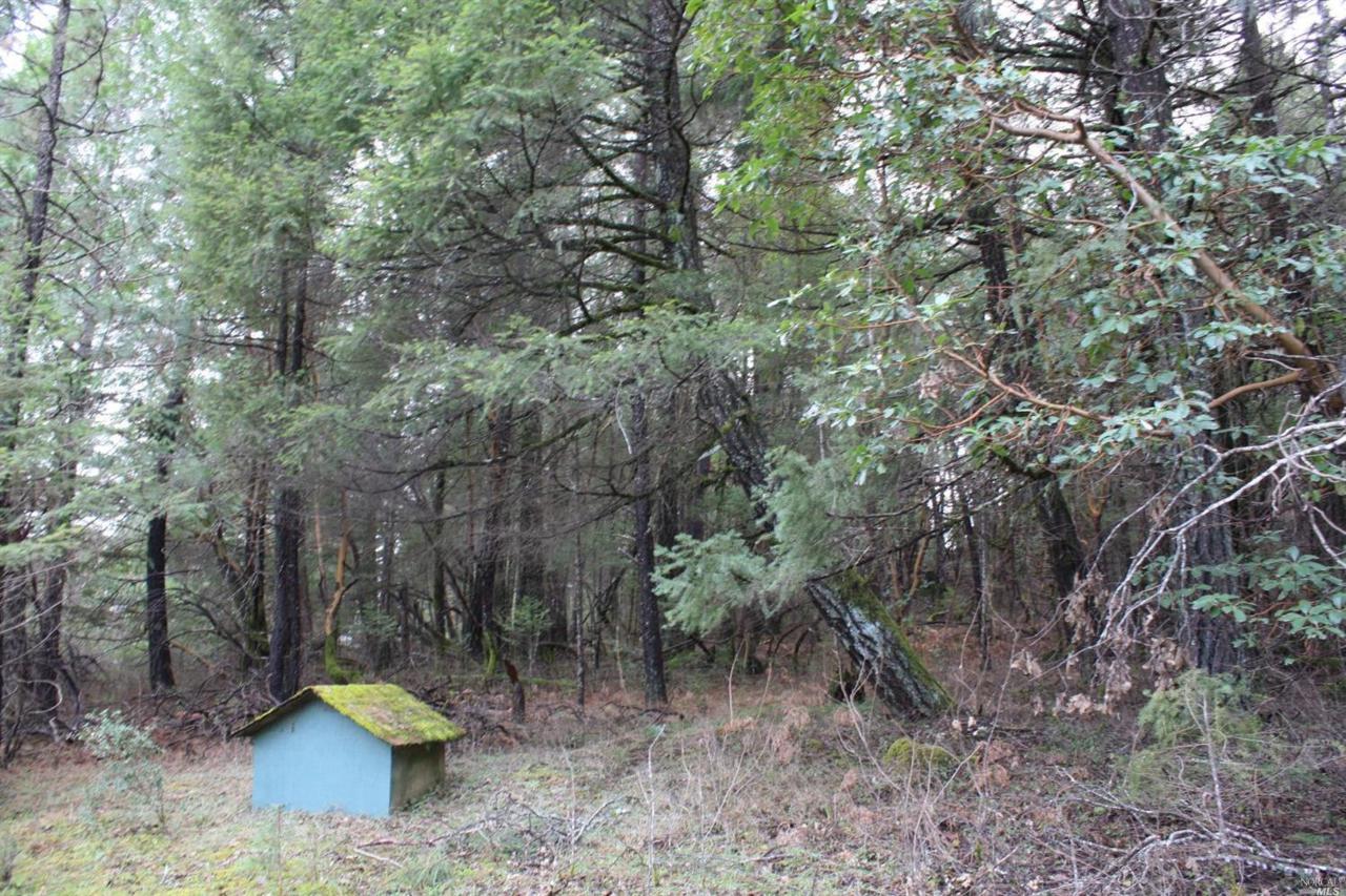 0 Ten Mile Creek Road - Photo 1