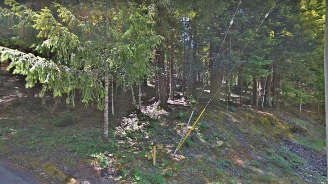 1899 Lupine Way - Photo 1