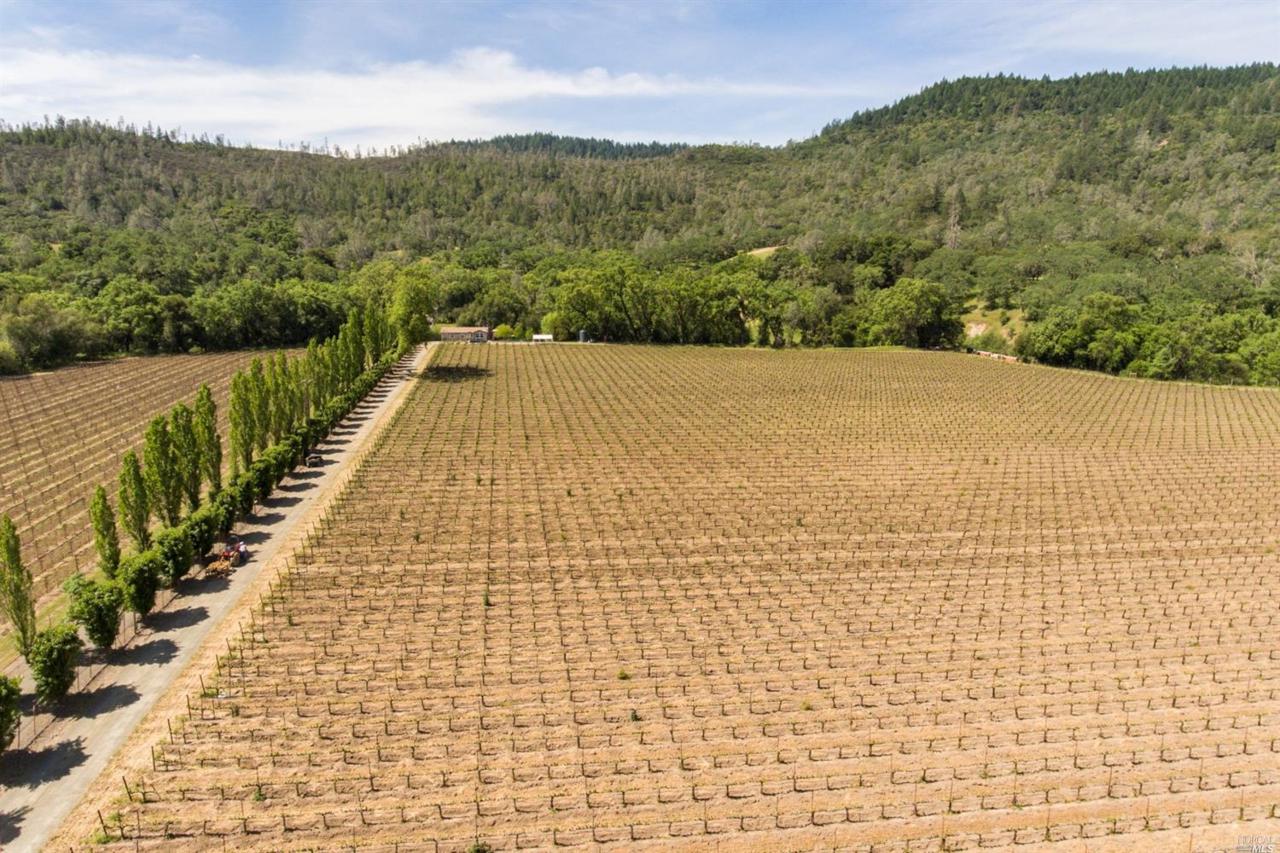 4645 Chiles Pope Valley Road - Photo 1