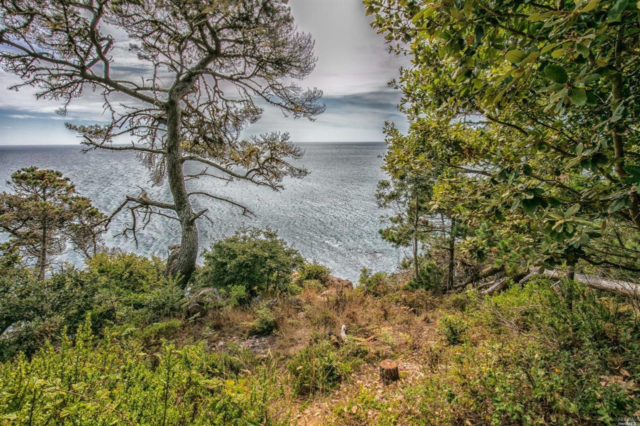 23456 Highway 1 - Photo 1