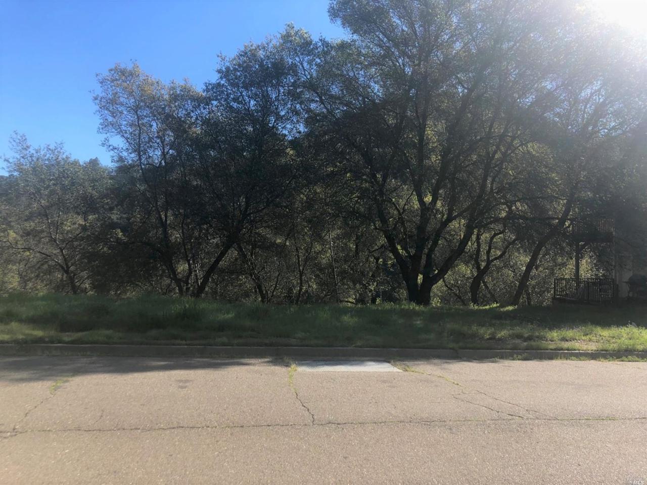 1227 Steele Canyon Road - Photo 1