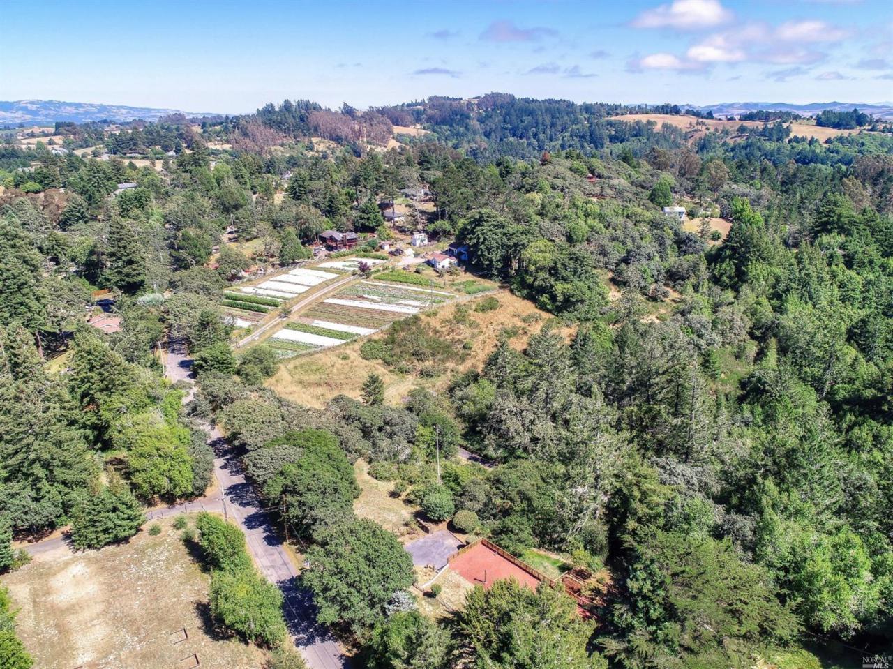 11025 Barnett Valley Road - Photo 1