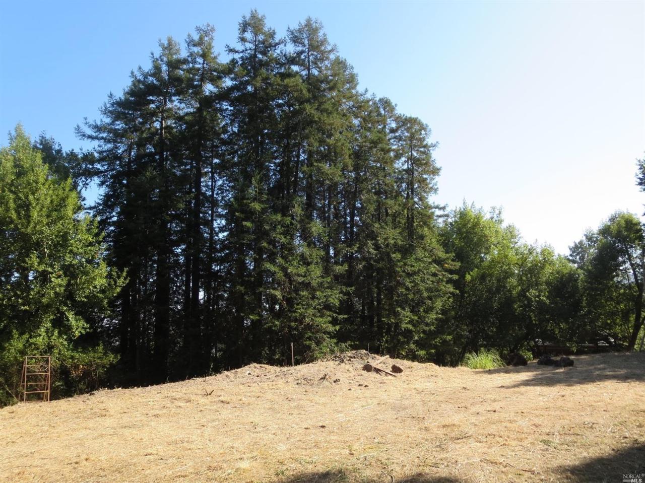 0 Red Rock Way - Photo 1