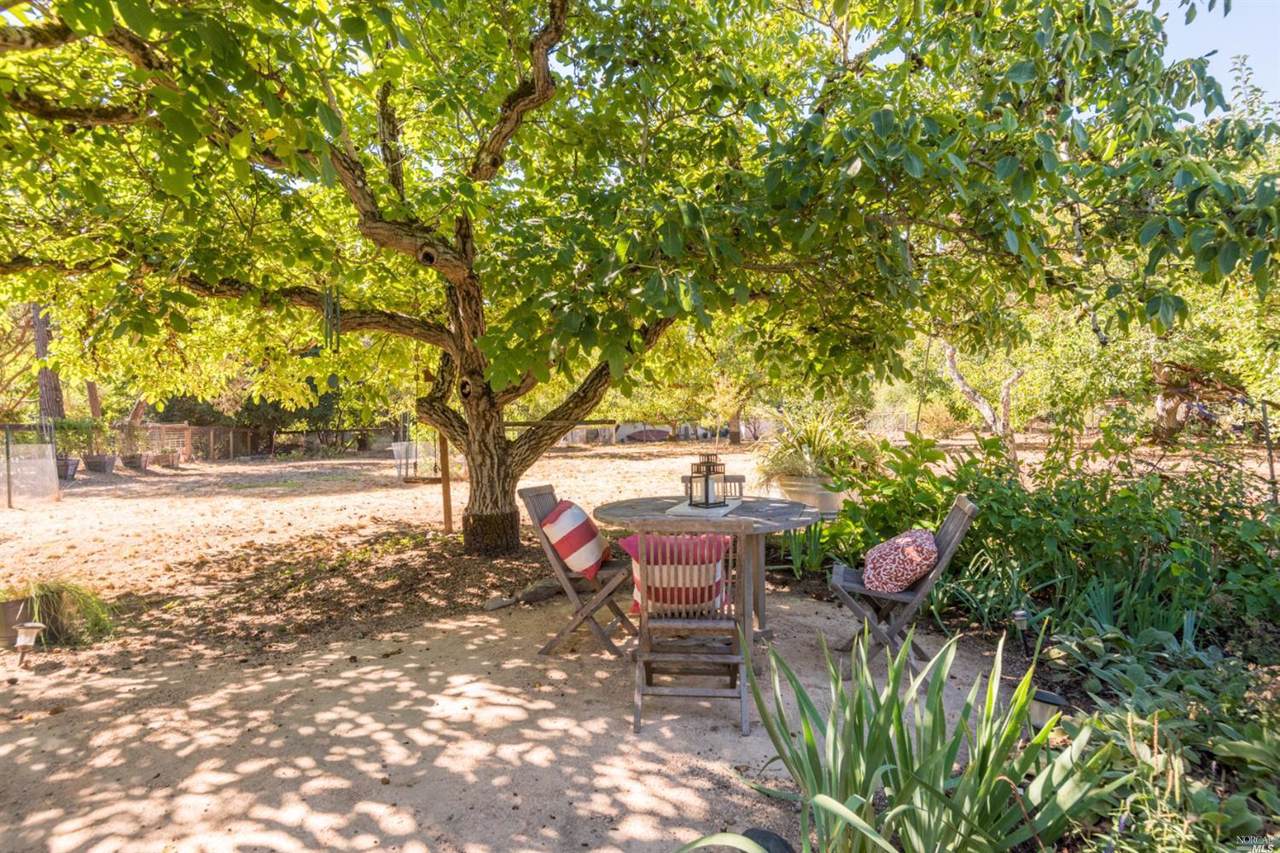 7567 Elphick Road - Photo 1