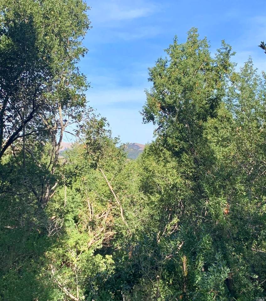 500 Scenic Road - Photo 1