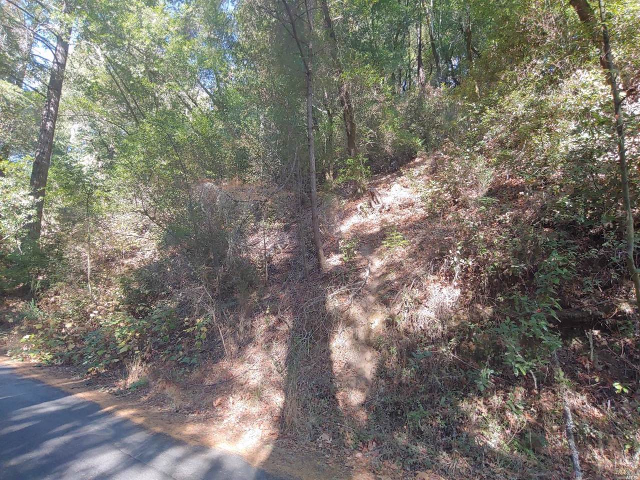 0 Occidental Camp Meeker Road - Photo 1