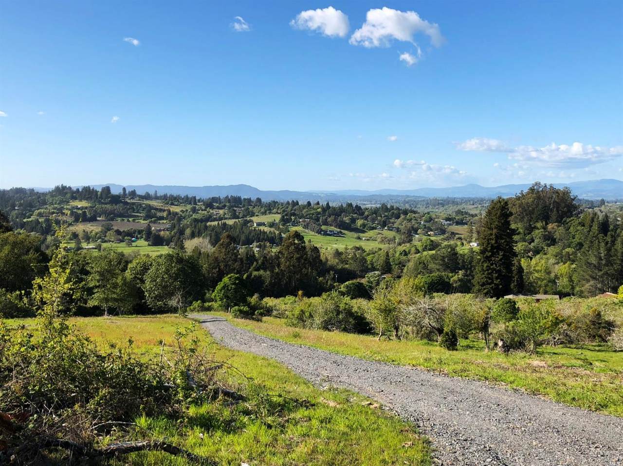 471 Gold Ridge Road - Photo 1