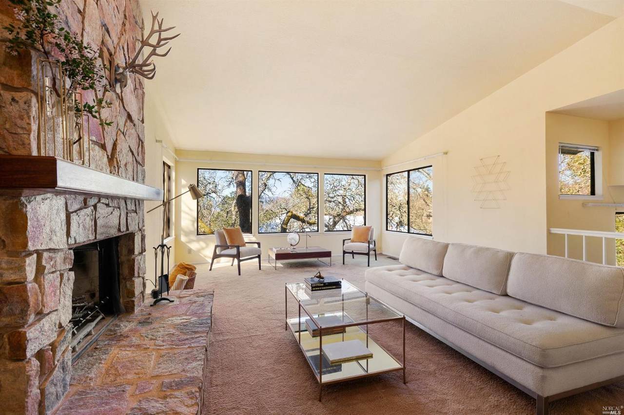 32 Burning Tree Court - Photo 1