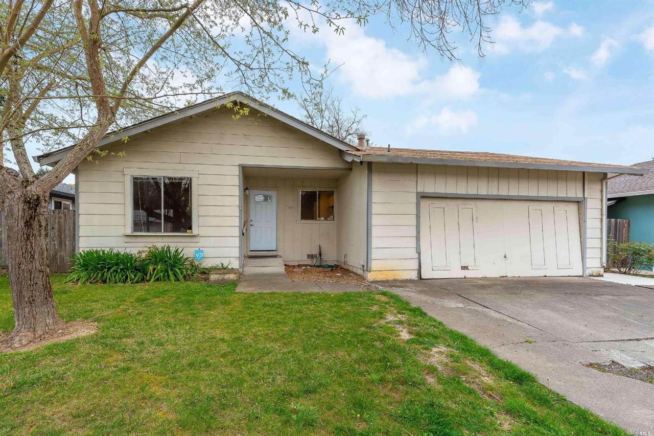 3565 Banyan Street - Photo 1