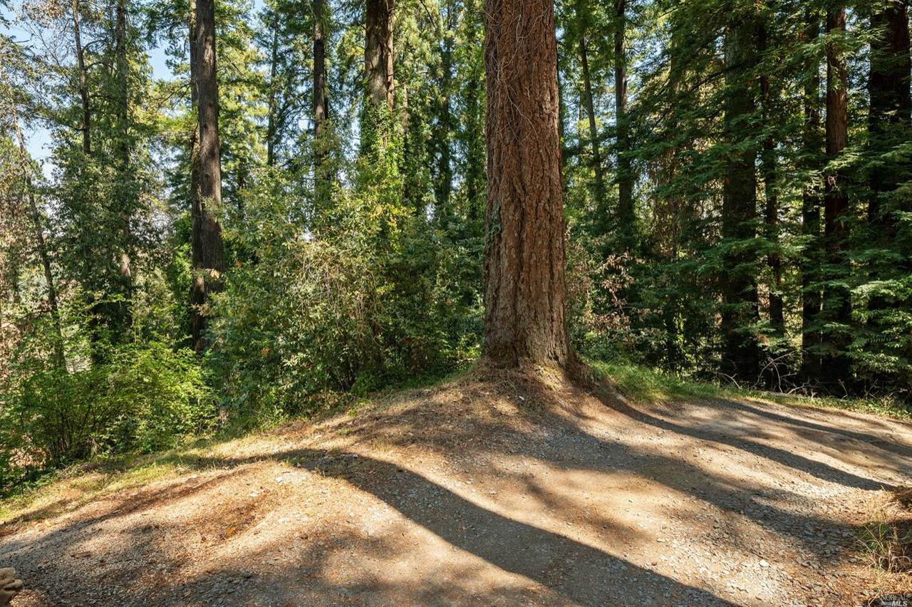 98 Conifer Way - Photo 1