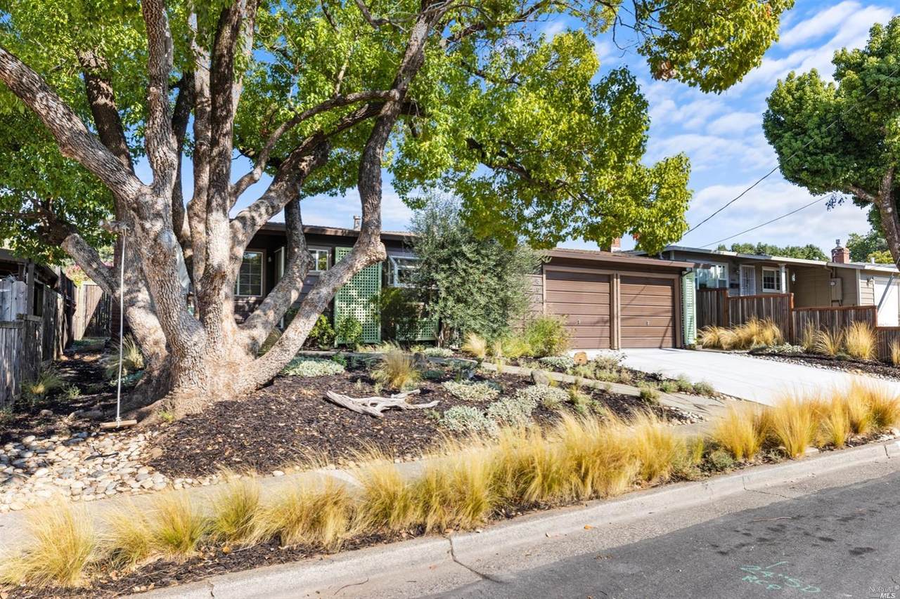 806 Rose Lane - Photo 1