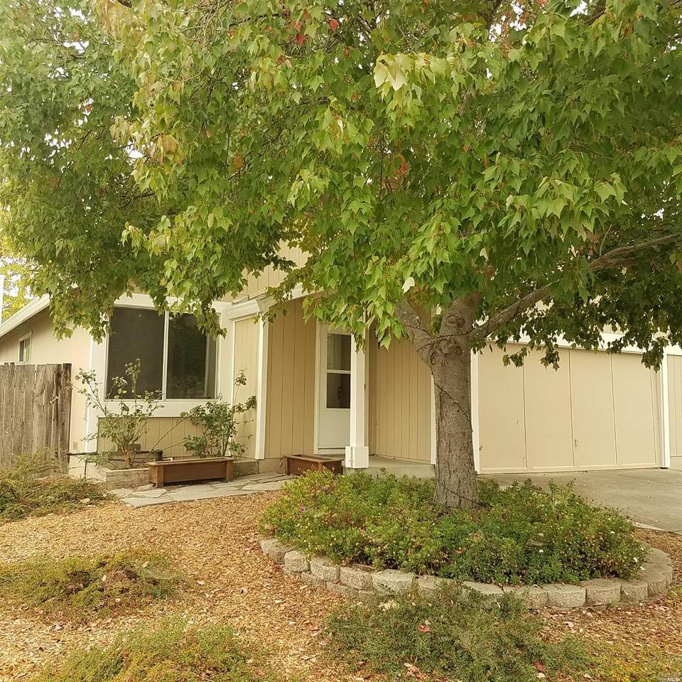 2348 Lemur Street - Photo 1