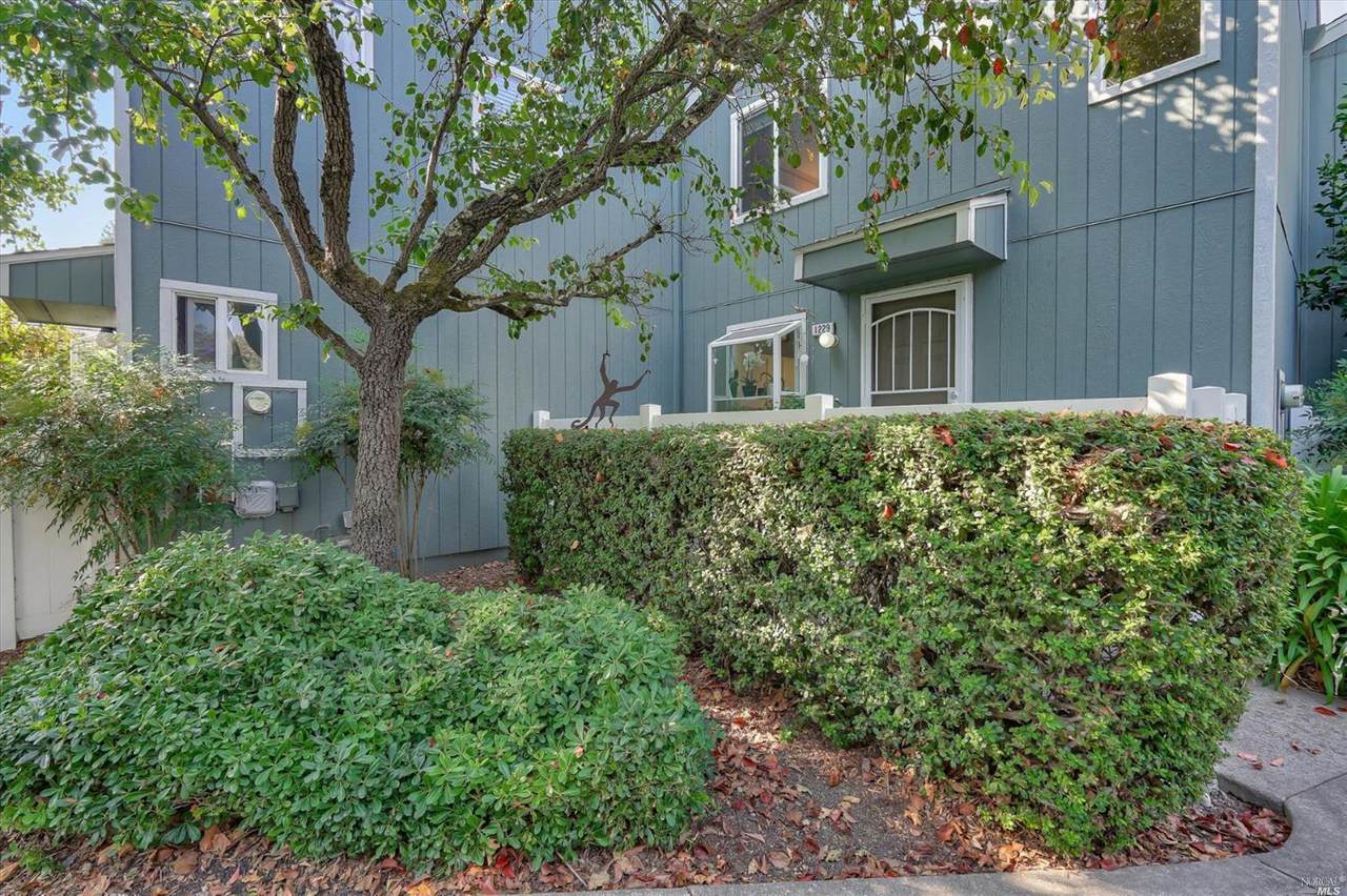 1229 Camino Corto Road - Photo 1