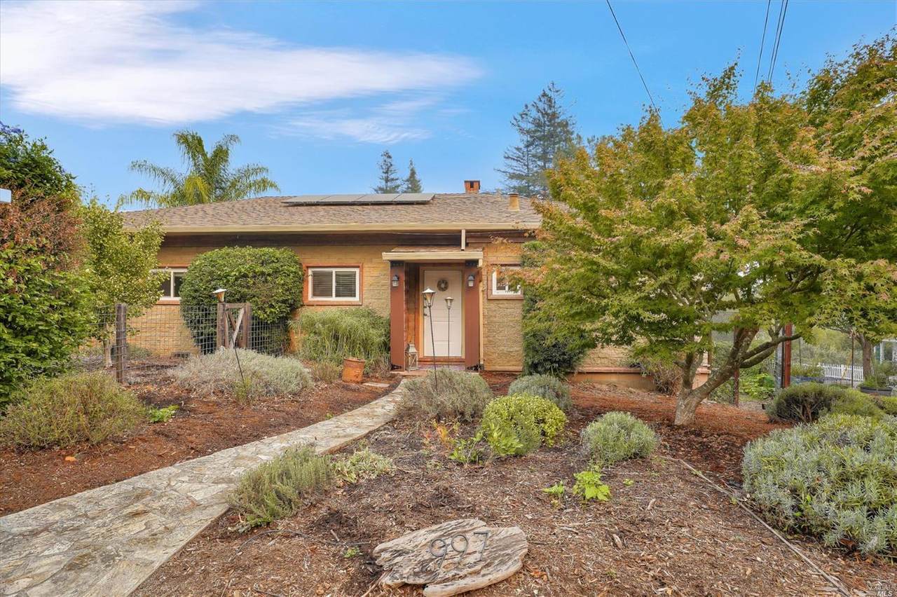 997 Litchfield Avenue - Photo 1