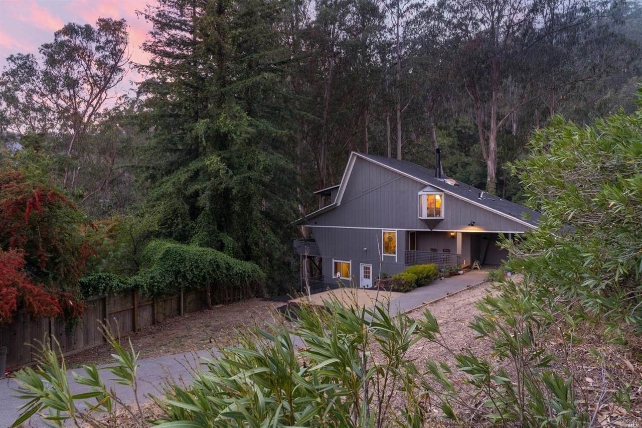 1019 Melaleuca Lane - Photo 1