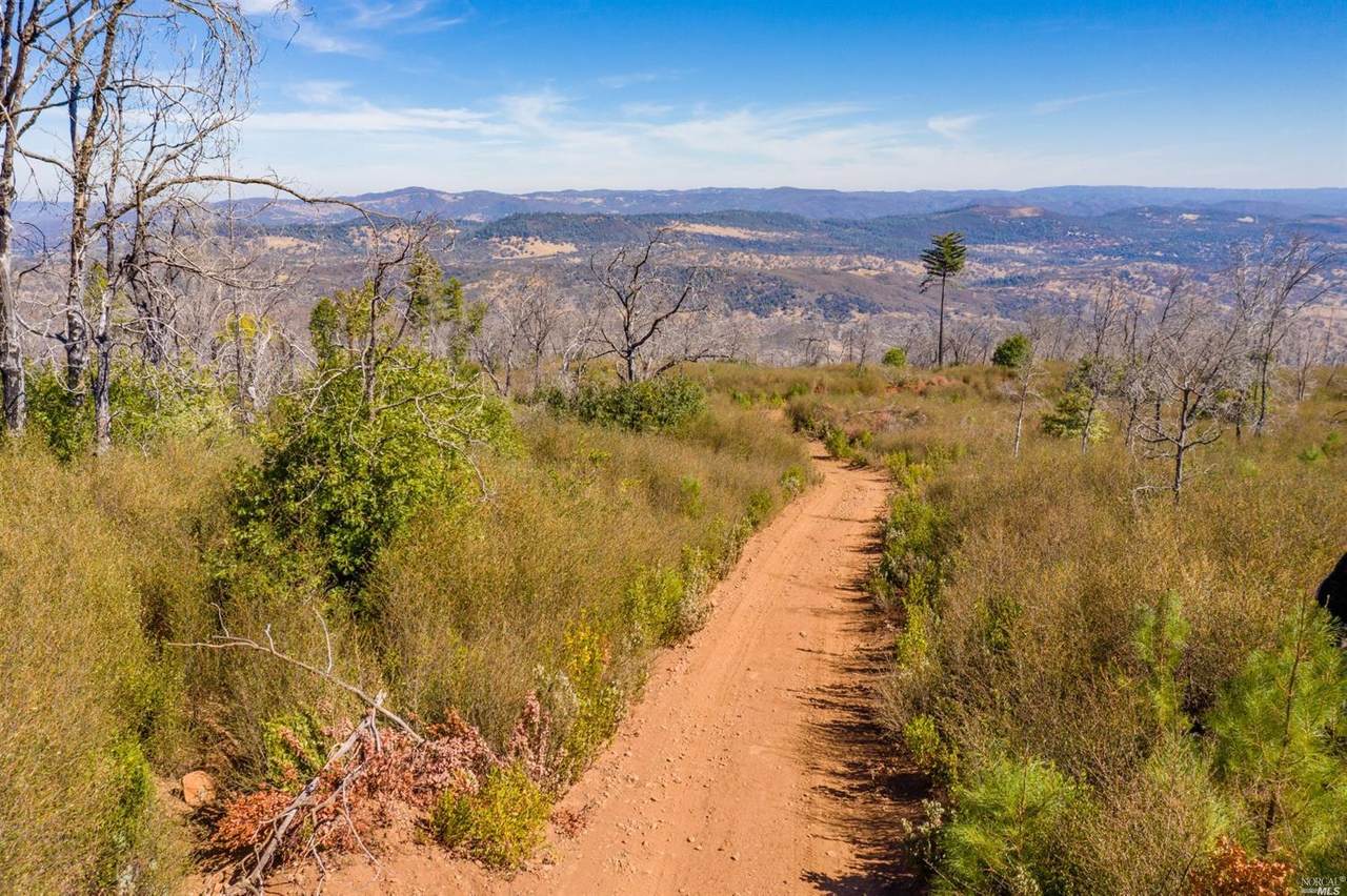 16991 Big Canyon Road - Photo 1