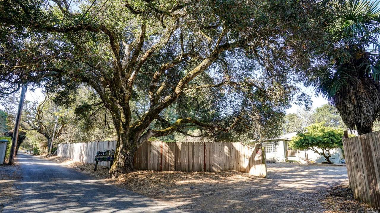 5924 Fredricks Road - Photo 1