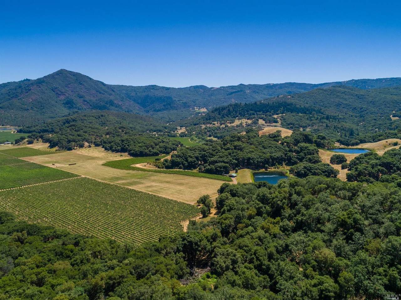 1200 Feliz Creek Road - Photo 1
