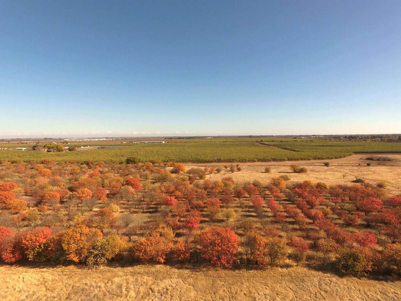 0 County Road 88 - Photo 1