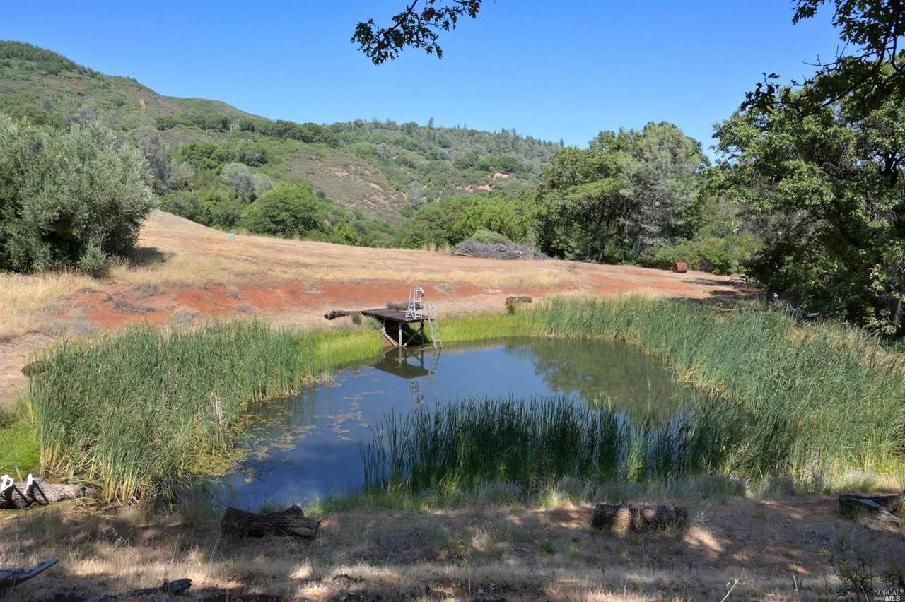 34151 Pine Mountain Road - Photo 1