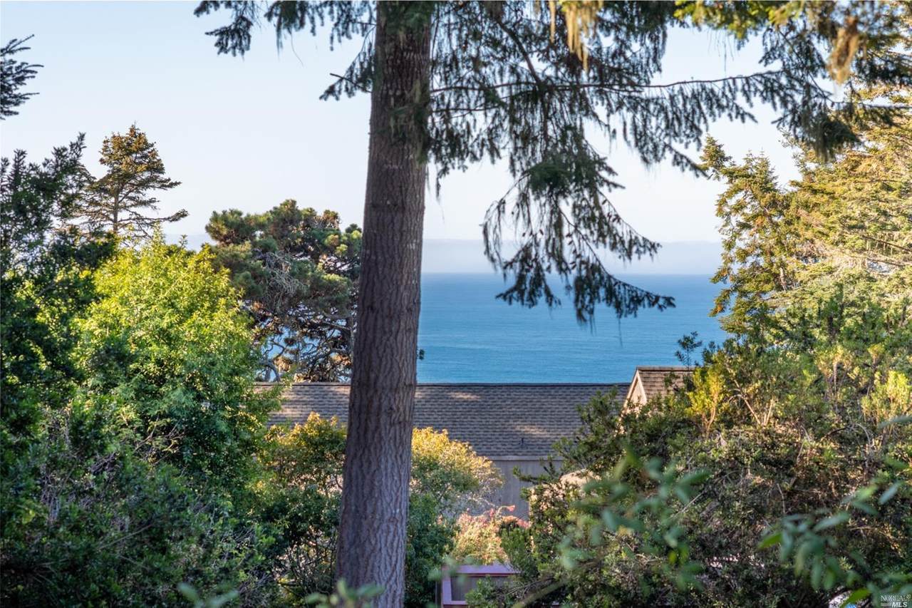 35387 Fly Cloud Road - Photo 1