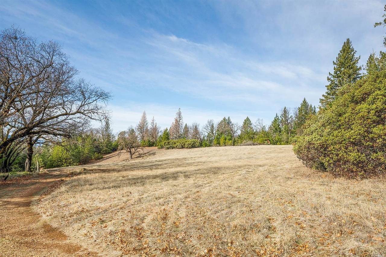 8019 High Valley Road - Photo 1