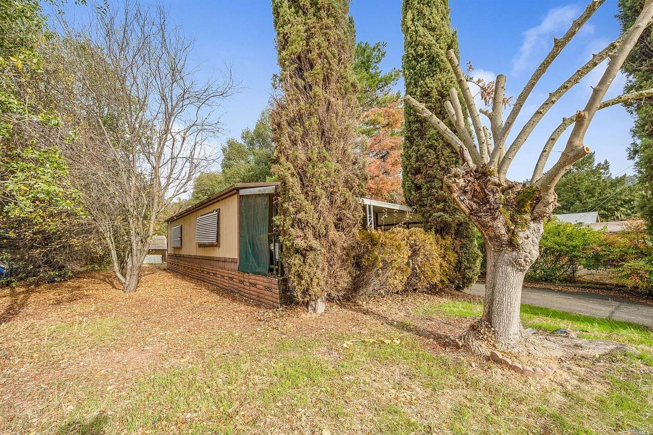 6844 Rosemont Drive - Photo 1