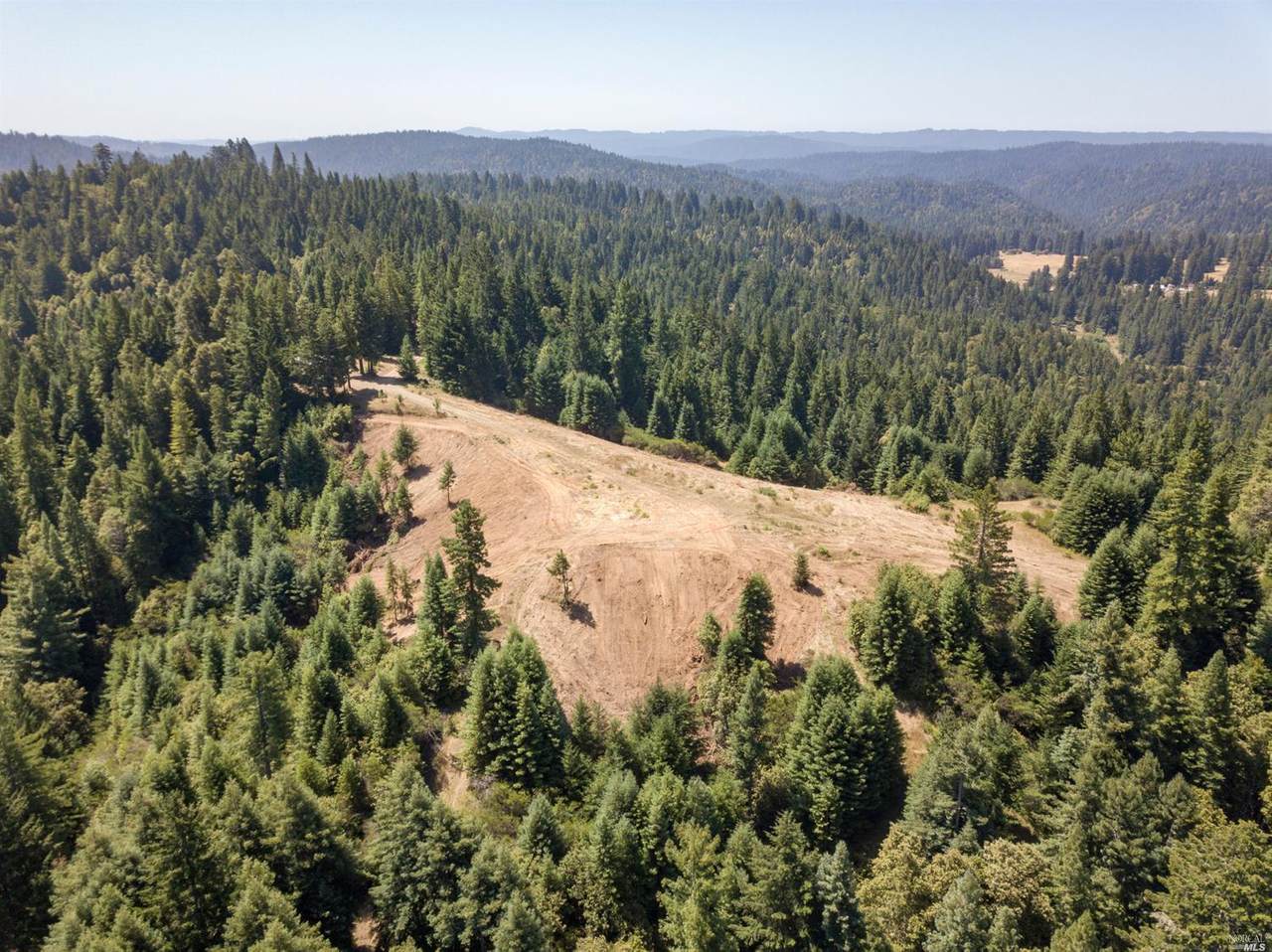 5801 Flynn Creek Road - Photo 1