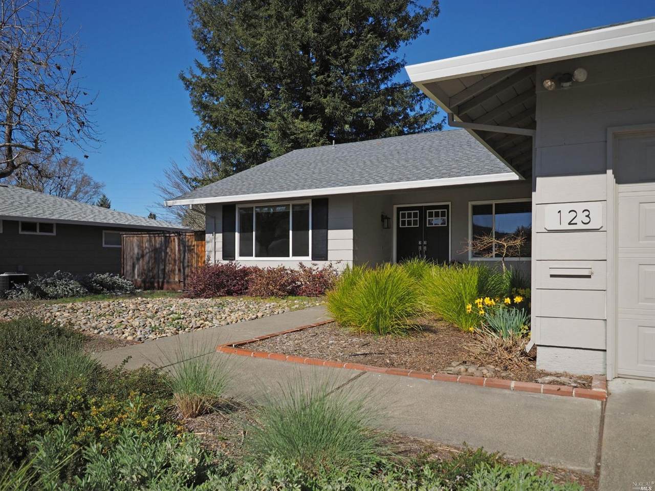123 Old Oak Drive - Photo 1