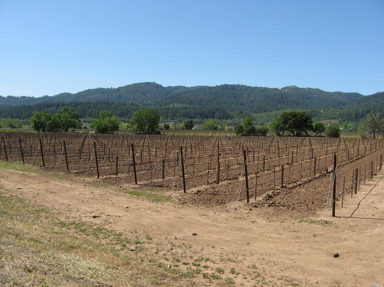 0 Silverado Trail - Photo 1