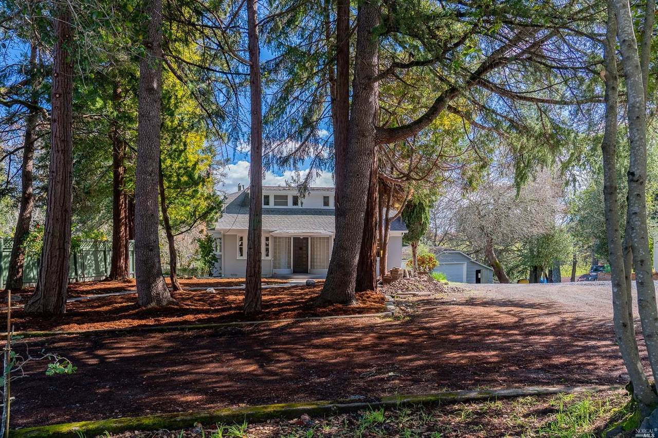 7605 Bodega Avenue - Photo 1