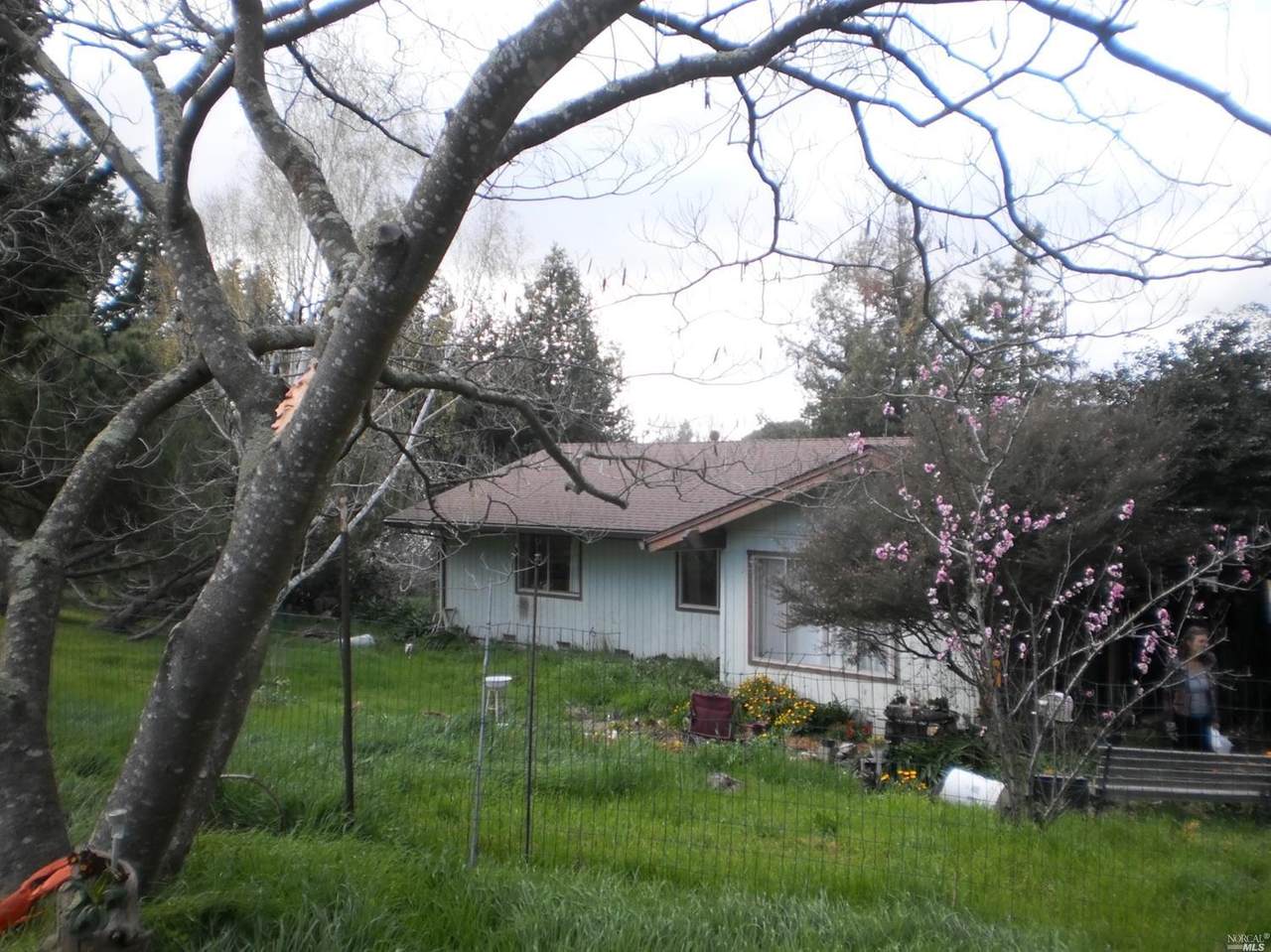 4440 Belmont Drive - Photo 1