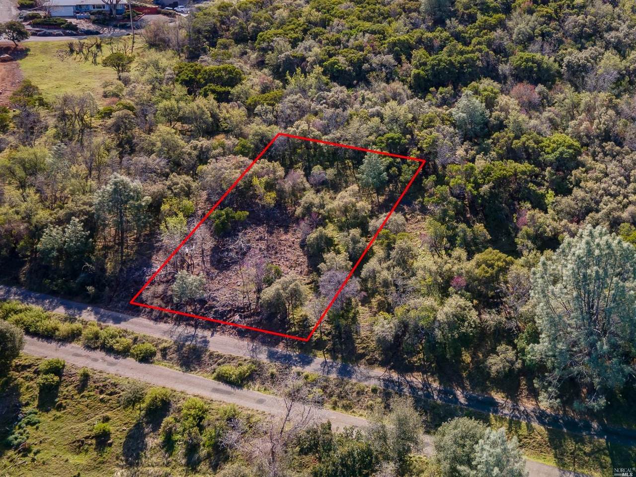 10621 Boren Bega Drive - Photo 1