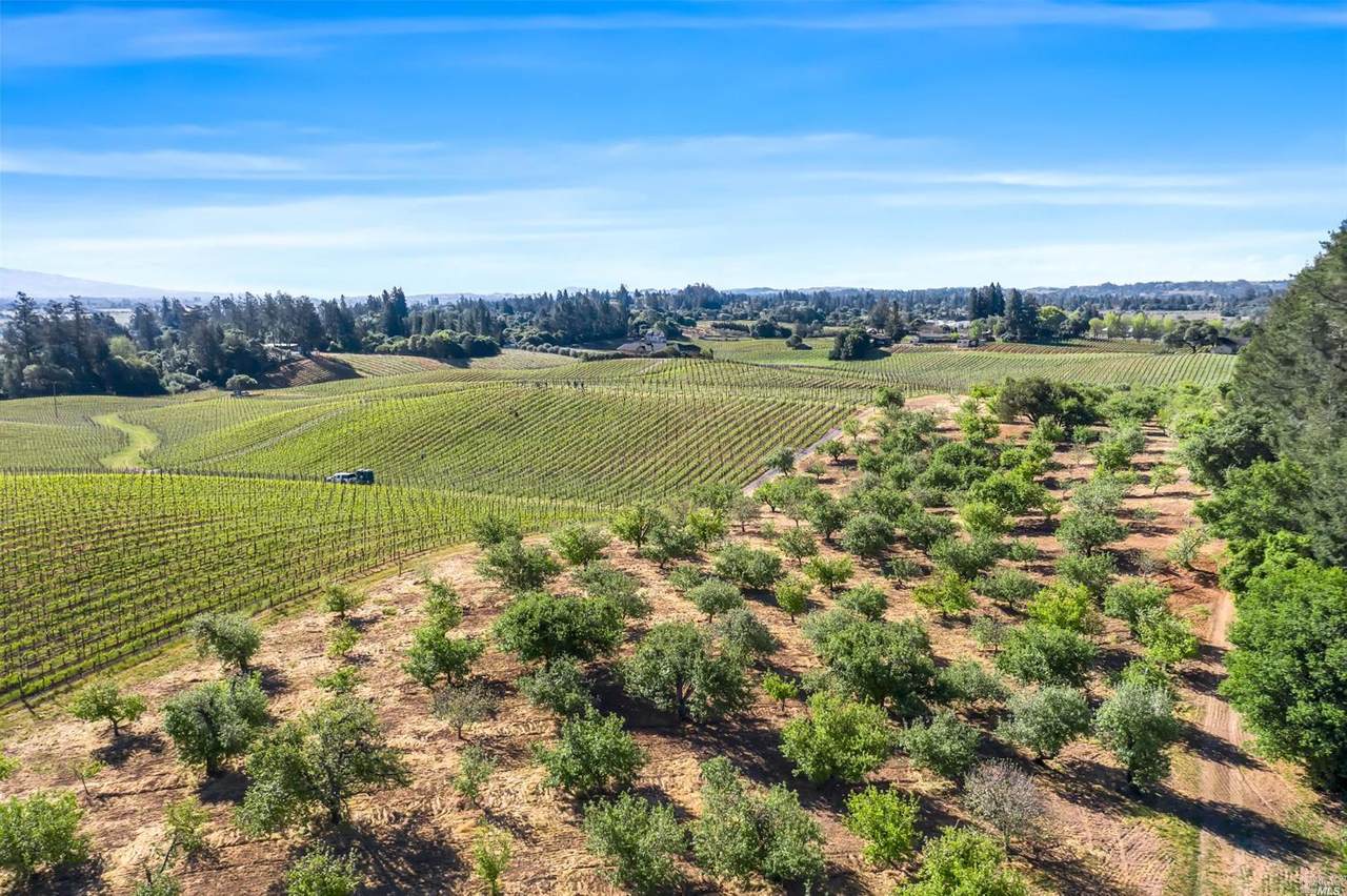 3383 Frei Road - Photo 1
