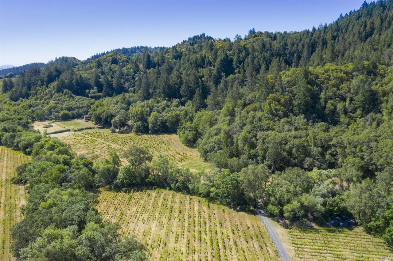 4106 Wine Creek Road - Photo 1