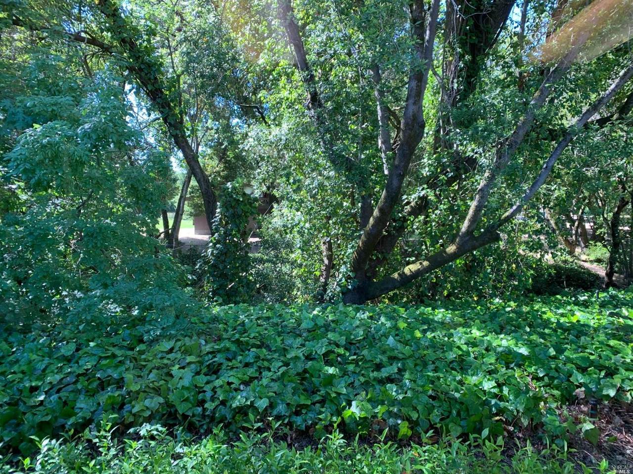 1144 Sonoma Avenue - Photo 1