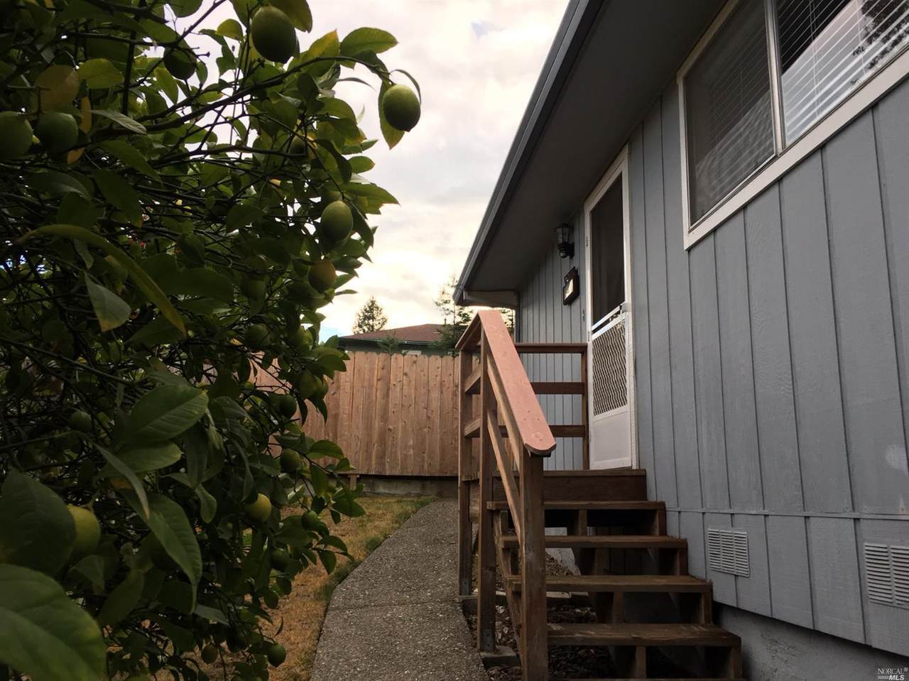 260 Cotati Avenue - Photo 1